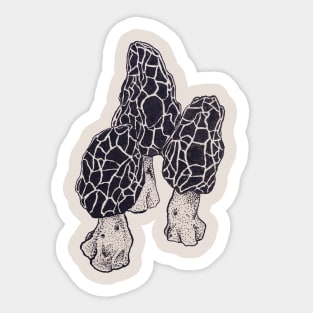 Morel Mushrooms Sticker